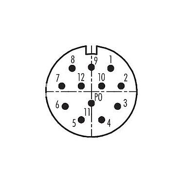 Contact arrangement (Plug-in side) 99 4621 00 12 - M23 Male cable connector, Contacts: 12, 6.0-10.0 mm, shieldable, solder, IP67