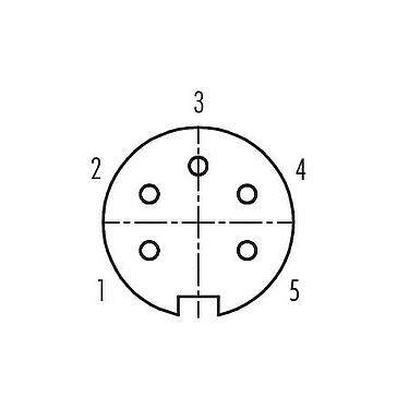 Contact arrangement (Plug-in side) 99 2014 220 05 - M16 Female cable connector, Contacts: 5 (05-a), 6.0-8.0 mm, shieldable, screw clamp, IP40