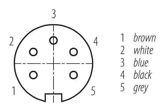 Disposición de los contactos (lado de la conexión) M16 Conector hembra en ángulo, Número de contactos: 5, sin blindaje, moldeado en el cable, IP67, PUR, negro, 5 x 0,34 mm², 2 m