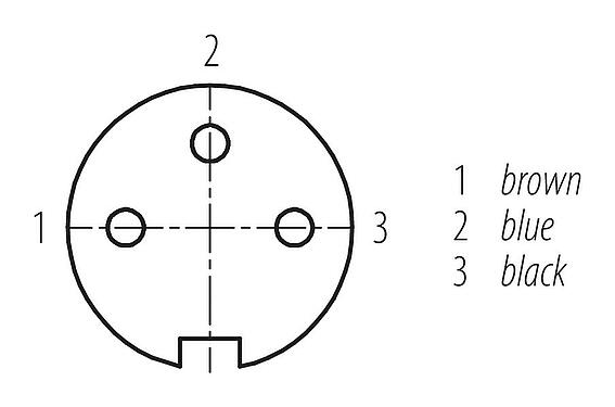 Disposición de los contactos (lado de la conexión) M16 Conector hembra en ángulo, Número de contactos: 3, sin blindaje, moldeado en el cable, IP67, PUR, negro, 3 x 0,34 mm², 2 m