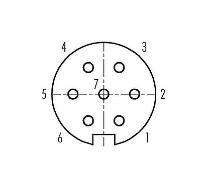 Disposition des contacts (Côté plug-in) Push Pull Connecteur femelle, Contacts: 7, 4,0-8,0 mm, blindable, souder, IP67