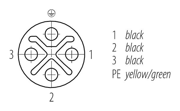 Disposición de los contactos (lado de la conexión) M12 Conector de cable hembra, Número de contactos: 3+PE, sin blindaje, moldeado en el cable, IP68, UL 2238, PUR, negro, 4 x 1,50 mm², 2 m