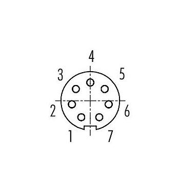 Contact arrangement (Plug-in side) 09 0478 00 07 - M9 Female panel mount connector, Contacts: 7, unshielded