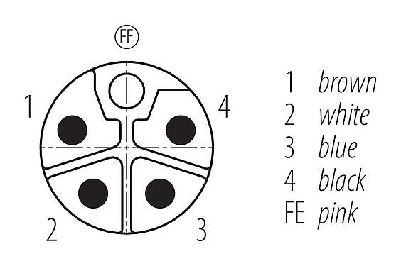 Disposition des contacts (Côté plug-in) 77 0649 0000 70505-0200 - M12 Connecteur mâle, Contacts: 4+FE, non blindé, surmoulé sur le câble, IP68, M12x1,0, PUR, noir, 5 x 1,50 mm², UL en préparation, 2 m