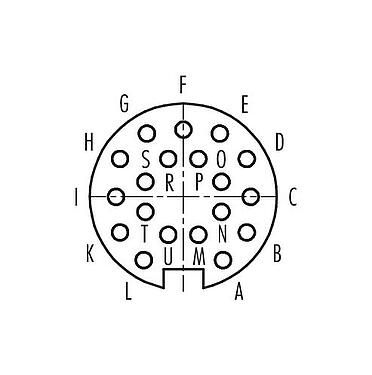 Disposition des contacts (Côté plug-in) Push Pull Connecteur femelle, Contacts: 19, 4,0-8,0 mm, blindable, souder, IP67
