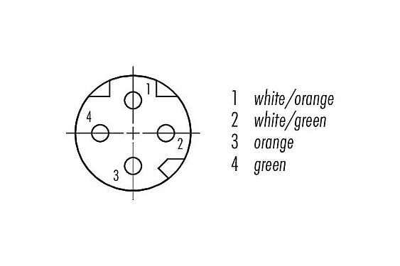 Disposition des contacts (Côté plug-in) M8 Connecteur femelle, Contacts: 4, blindé, surmoulé sur le câble, IP67, UL, Ethernet CAT5e, TPE, bleu/vert, 2 x 2 x AWG 24, 10 m
