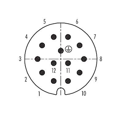 Disposición de los contactos (lado de la conexión) RD30 Conector de cable macho, Número de contactos: 12+PE, 14,0-18,0 mm, sin blindaje, soldadura, IP65