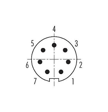 Contact arrangement (Plug-in side) 09 0423 90 07 - M9 Male panel mount connector, Contacts: 7, unshielded, THT, IP67, front fastened