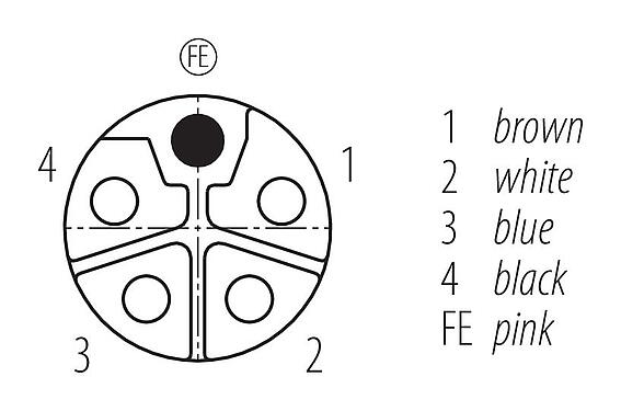 Disposition des contacts (Côté plug-in) 77 0650 0000 70505-0500 - M12 Connecteur femelle, Contacts: 4+FE, non blindé, surmoulé sur le câble, IP68, M12x1,0, PUR, noir, 5 x 1,50 mm², UL en préparation, 5 m