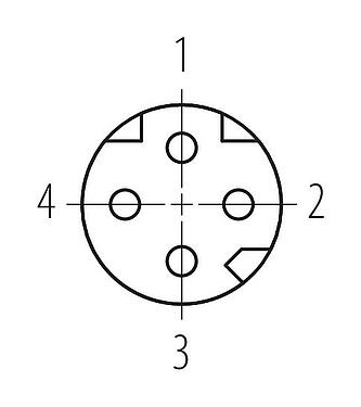 Disposition des contacts (Côté plug-in) M8 Connecteur femelle, Contacts: 4, 5,0-8,0 mm, blindable, pince à visser, IP67, M8x1,0, ressort à iris