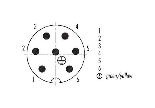 Contact arrangement (Plug-in side) 99 4217 110 07 - RD24 Male cable connector, Contacts: 6+PE, 8.0-10.0 mm, unshielded, screw clamp, IP67, UL, ESTI+, VDE, PG 11