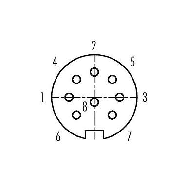 Contact arrangement (Plug-in side) 99 5172 60 08 - M16 Female cable connector, Contacts: 8 (08-a), 4.1-7.8 mm, shieldable, solder, IP67, UL, Short version