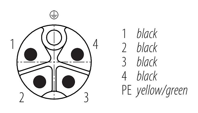 Disposición de los contactos (lado de la conexión) M12 Conector de cable macho, Número de contactos: 4+PE, sin blindaje, moldeado en el cable, IP68, UL 2238, PUR, negro, 5 x 2,50 mm², 2 m