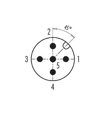 Contact arrangement (Plug-in side) 99 1537 812 05 - M12 Male cable connector, Contacts: 5, 6.0-8.0 mm, shieldable, wire clamp, IP67